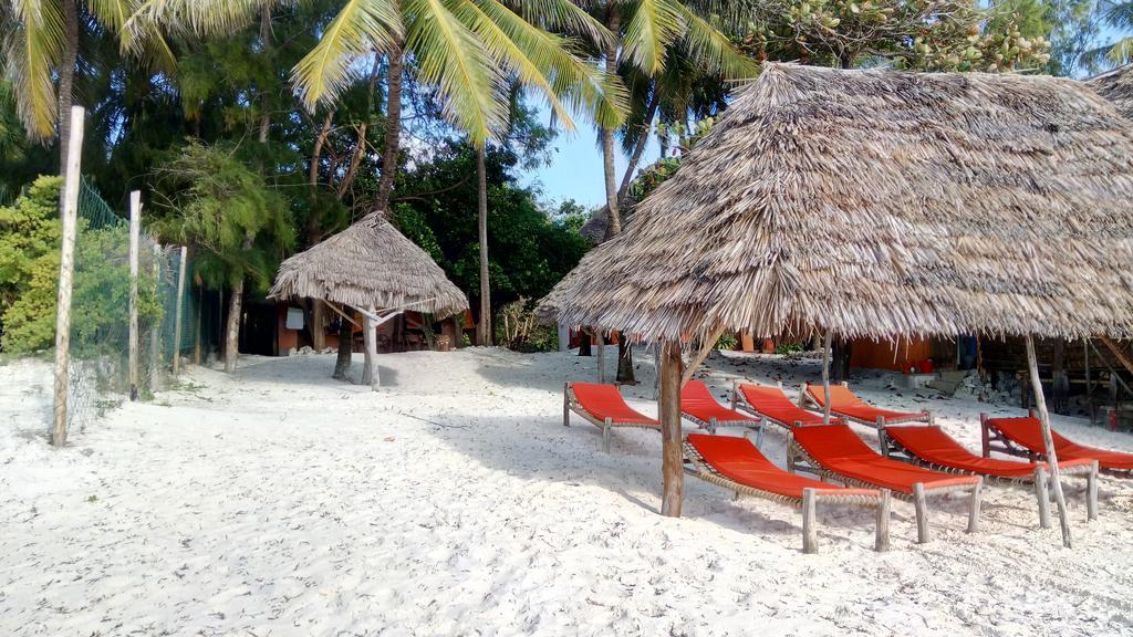 Twisted Palms Lodge & Restaurant Bwejuu Exteriör bild